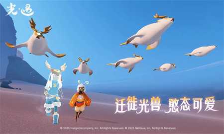 光遇国际服2026最新版