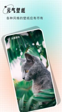 清壁纸app手机版截图3
