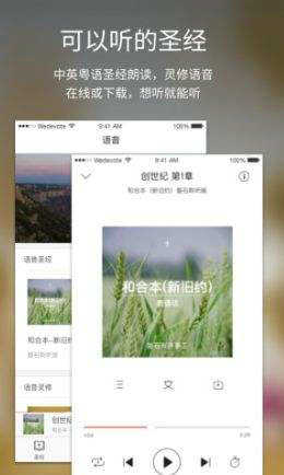 微读圣经官网版截图3