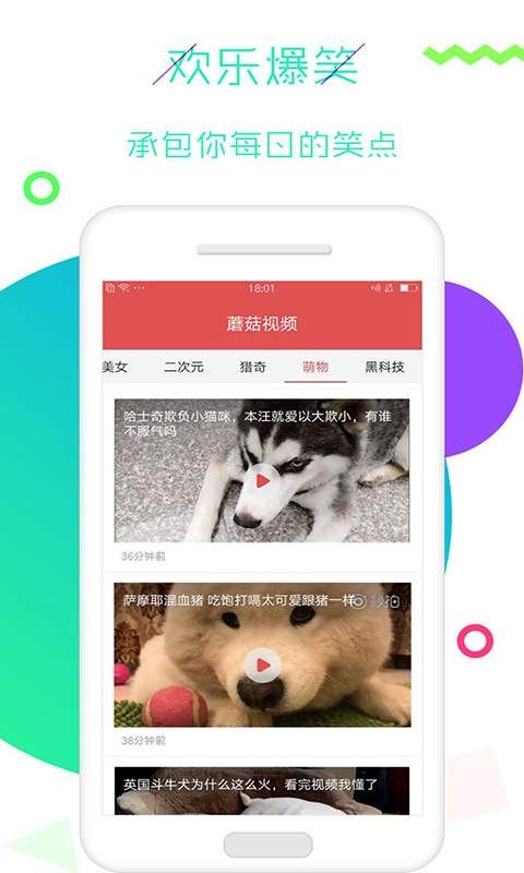 蘑菇视频app截图3