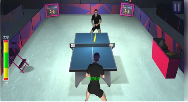 乒乓球双人竞技赛截图3