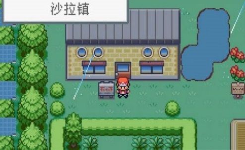 口袋妖怪格查尔汉化版截图1
