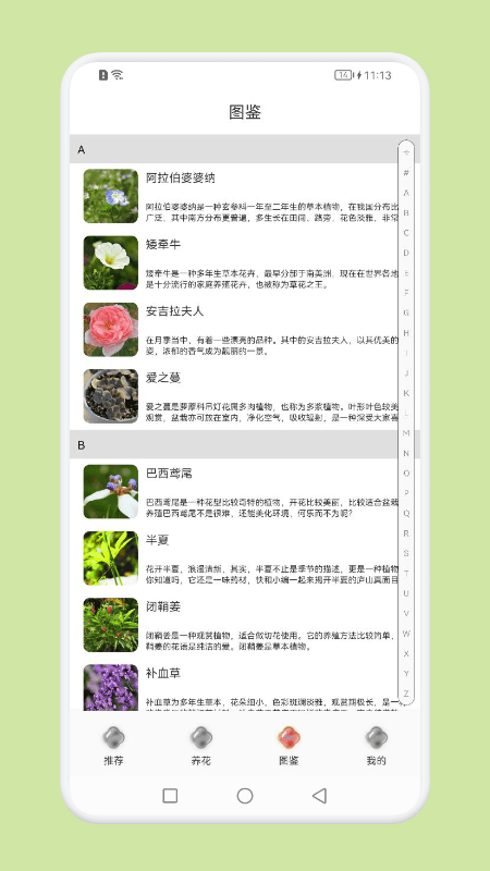 植物识别大师截图1