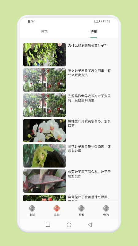 植物识别大师截图2