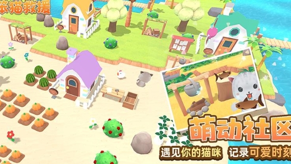 笨猫救援截图3