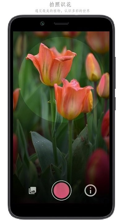 万物识别软件截图2