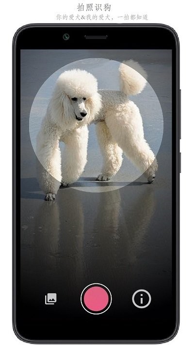万物识别软件截图3