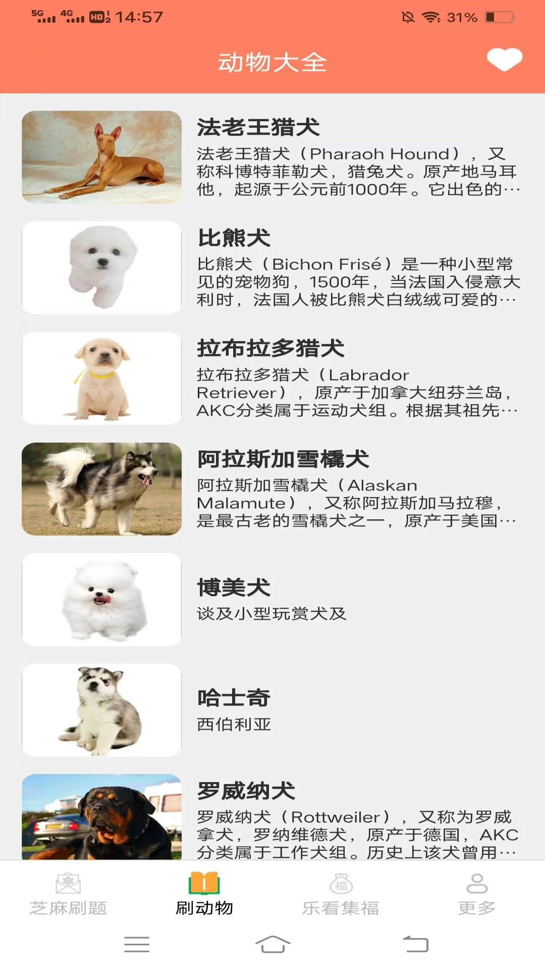 暮雪趣刷截图1