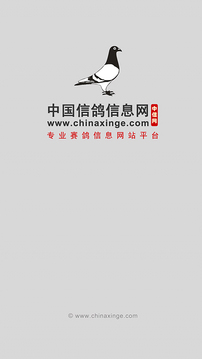 中国信鸽信息网app截图2