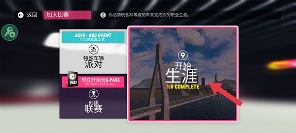 拉力地平线国际服截图1