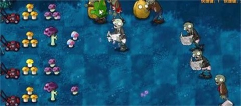 植物大战僵尸融合旅行版