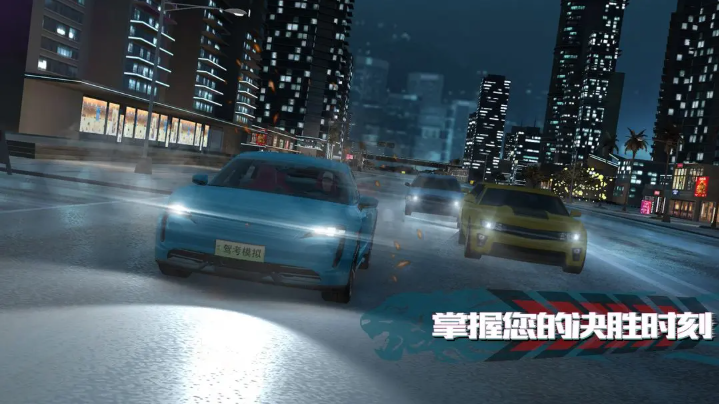 驾考模拟3d免费版截图5