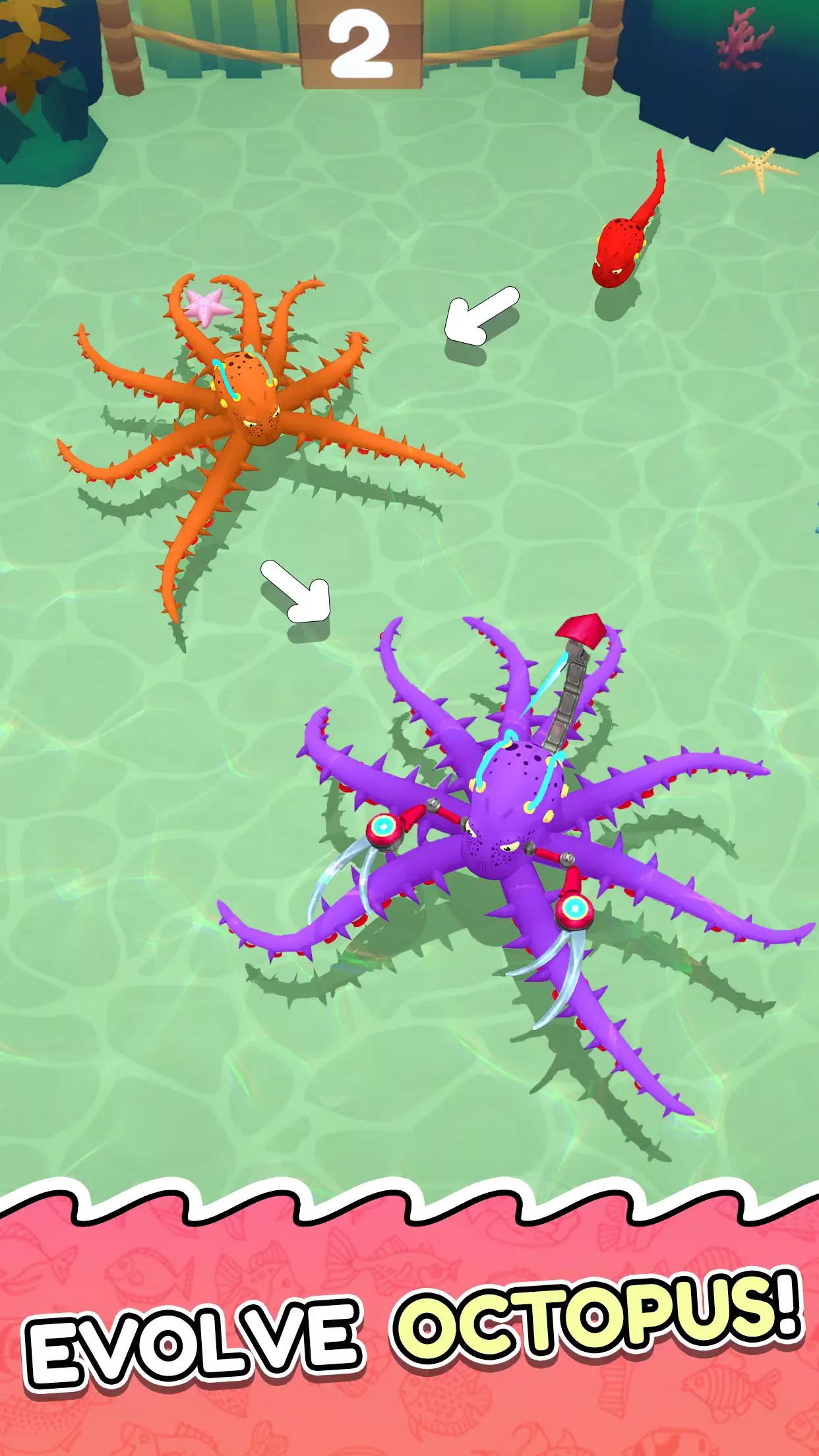 章鱼入侵进食与进化截图5