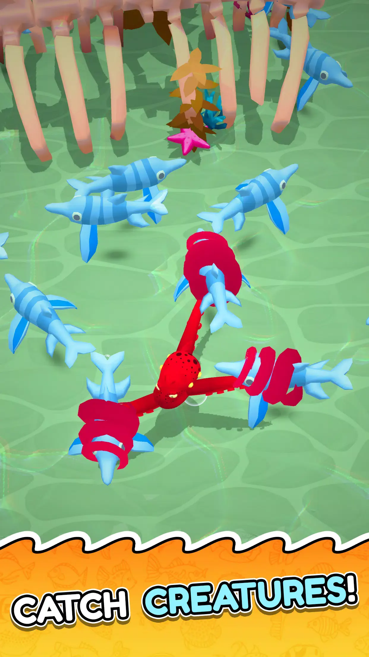 章鱼入侵进食与进化