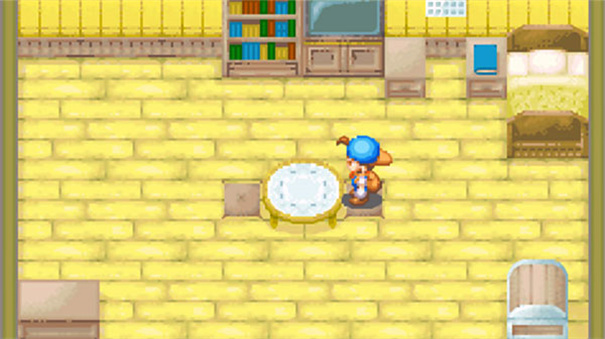 牧场物语矿石镇的伙伴们中文版截图3