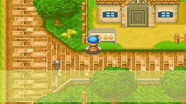 牧场物语矿石镇的伙伴们中文版截图2