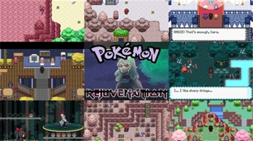 宝可梦复兴v13汉化版截图3