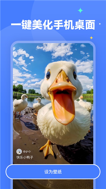 水星壁纸官方正版截图2