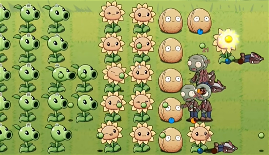 植物大战僵尸lg版最新版本截图2