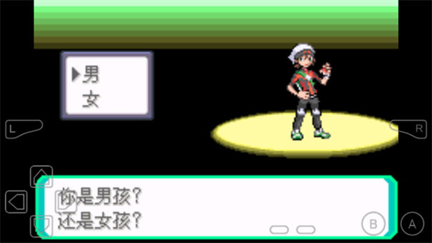 口袋妖怪究极绿宝石5.5最新版截图4