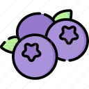 蓝莓音乐极速版2025