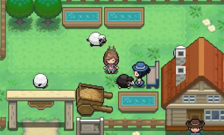 宝可梦蛋白石汉化版截图4