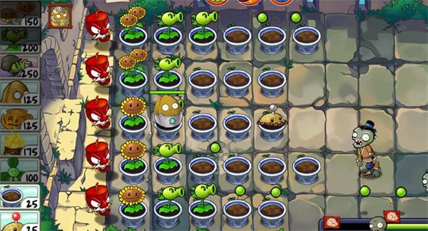 植物大战僵尸精华版最新版