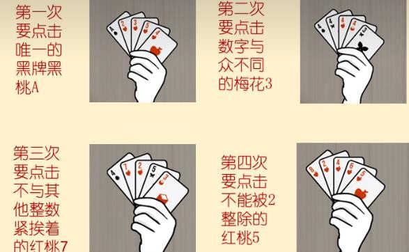 兔子先生的魔术秀