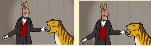 兔子先生的魔术秀