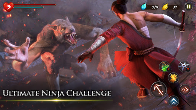 忍者武士隆最新版内置菜单截图4