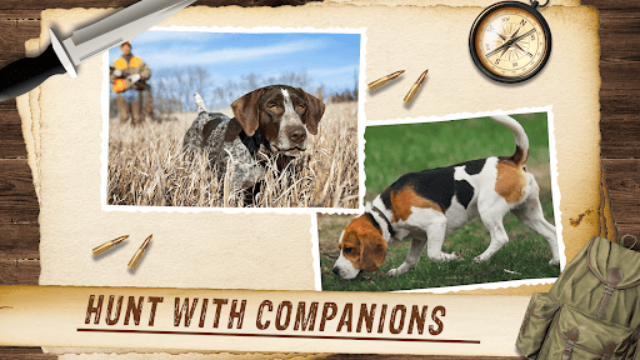 野生动物狩猎模拟器手机版截图2