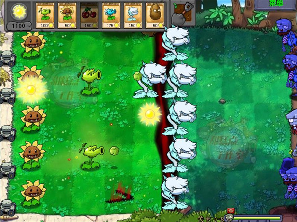 植物大战僵尸原始版截图3