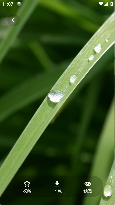 茄子漫画壁纸2025截图5