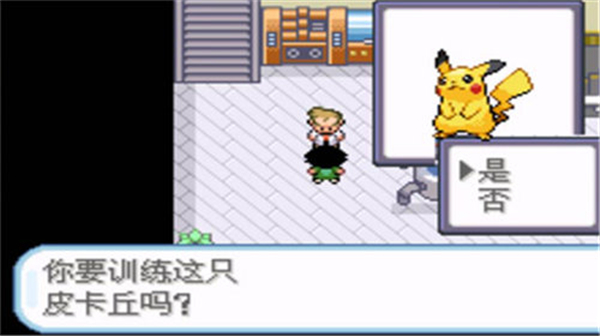 口袋妖怪圣灰汉化版内置修改器截图2