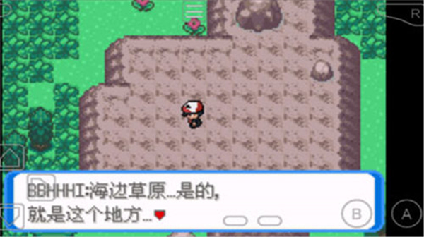 口袋妖怪圣灰汉化版内置修改器截图3