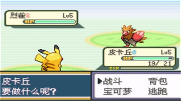 口袋妖怪圣灰汉化版内置修改器截图4