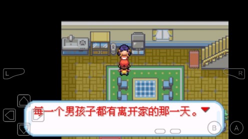 口袋妖怪绝望绿作弊版截图3