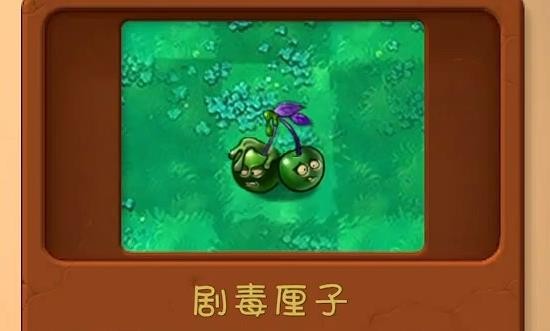 植物大战僵尸共生版手机版