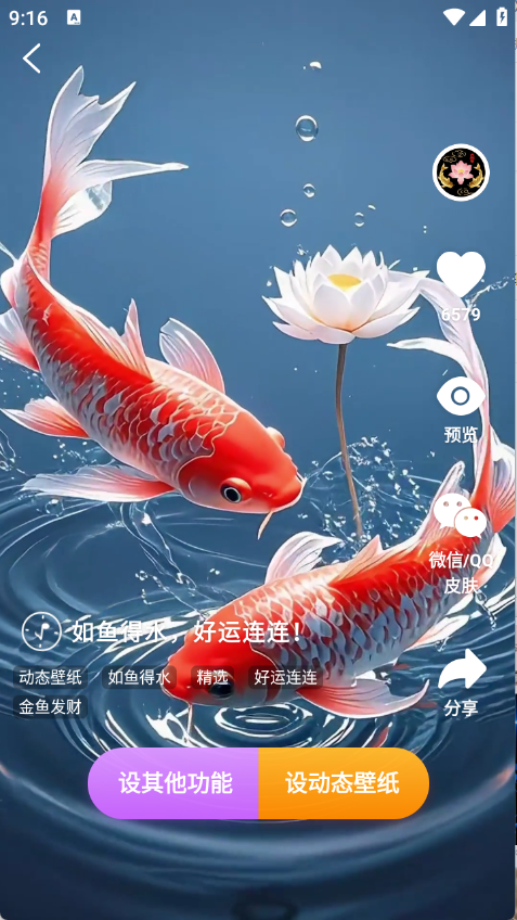 荷花锦鲤壁纸截图2