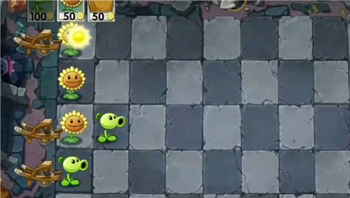 植物大战僵尸wenhua安卓版截图1