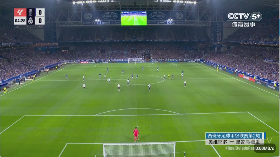 彩虹飞鸟稳定版