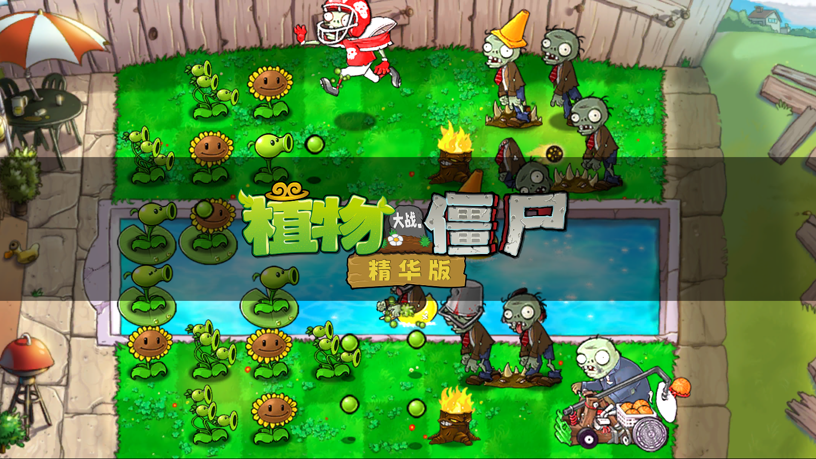 植物大战僵尸精华版1.5.3内置菜单截图4