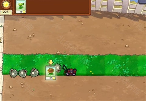 植物大战僵尸吃不了席版