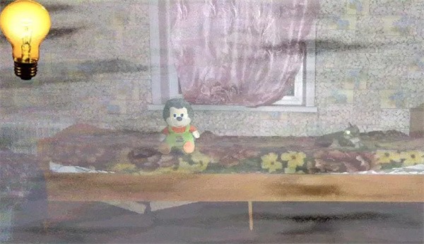 刺猬的五夜后宫