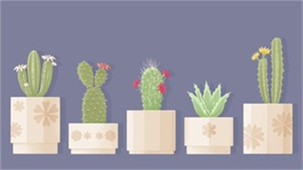 往左一点看星星最新版截图3