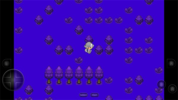 口袋妖怪生与死