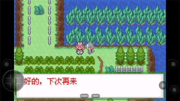 口袋妖怪生与死