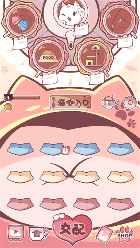 云撸猫咪最新版截图3