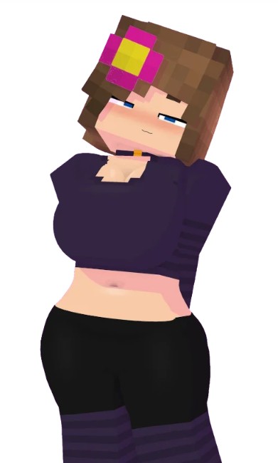 珍妮冒险9.0安装包