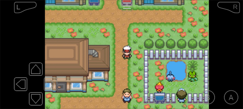 口袋妖怪夜之戒深渊之行截图3